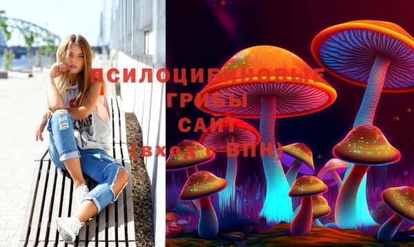 гидра Кинешма
