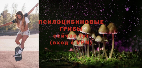 прущая мука Санкт-Петербург