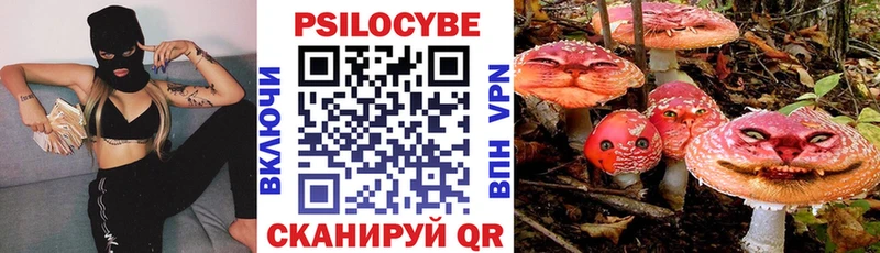 Купить  Скопин  Псилоцибиновые грибы MAGIC MUSHROOMS 