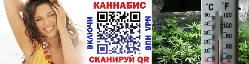 Купить закладки  Скопин  Марихуана SATIVA & INDICA 